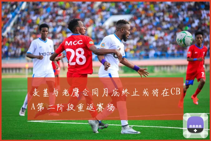 麦基与老鹰合同月底终止或将在CBA第二阶段重返赛场