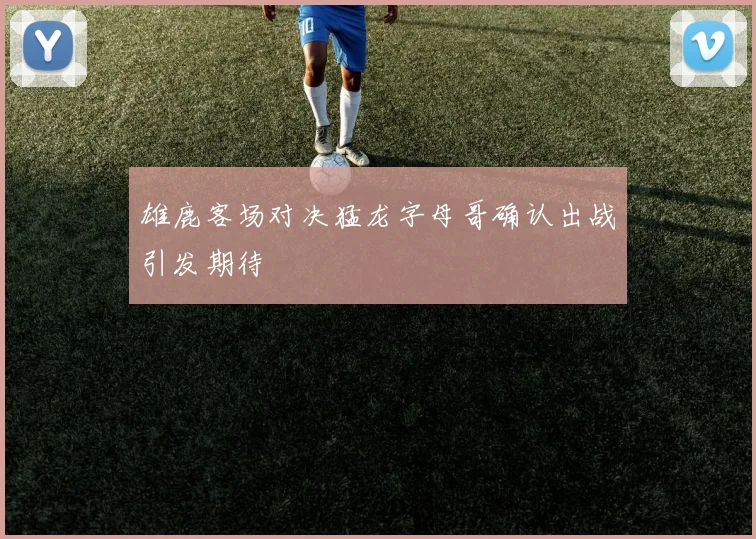 雄鹿客场对决猛龙字母哥确认出战引发期待