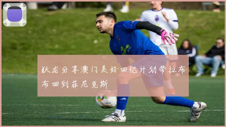 狄龙分享澳门美好回忆计划带拉布布回到菲尼克斯