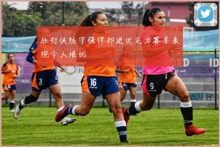 独行侠防守强悍却进攻乏力赛季表现令人堪忧